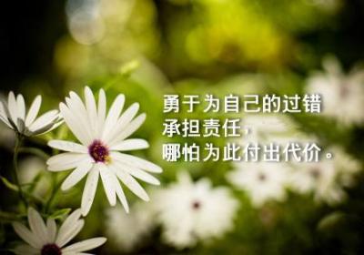 勇于为过错承担责任