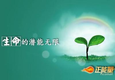 承受压力的生命