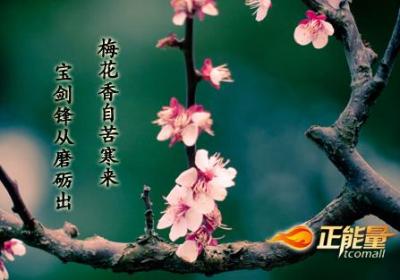 接受痛苦的雕琢