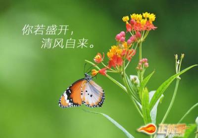 正能量的句子，献给需要正能量的人