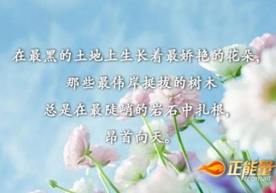 每个生命都从不卑微