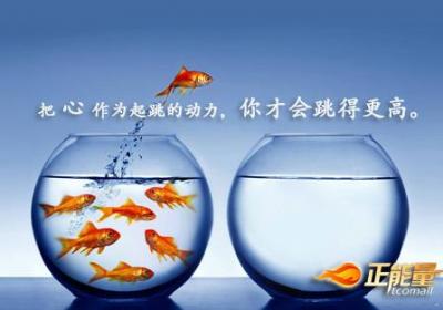 坚持你的信念