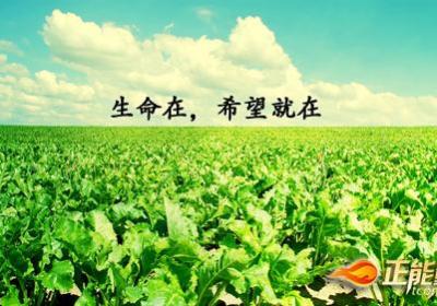 生命在，希望就在