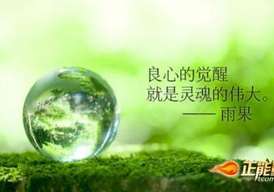 良心是最后一面镜子