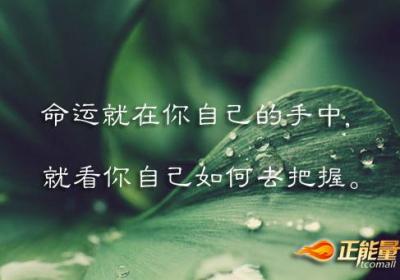 生命完全属于你自己