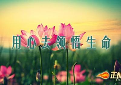 抓住自己的“树叶”