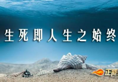 人生的起点与终点