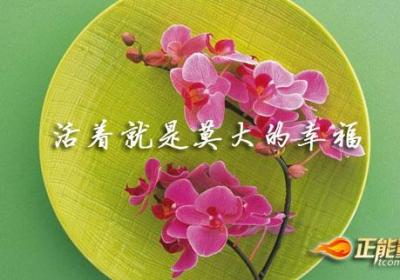 活着就是莫大的幸福