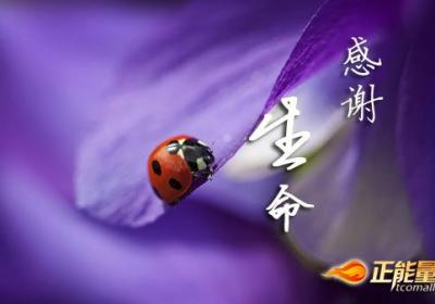感谢生命