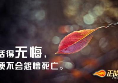 读懂生命