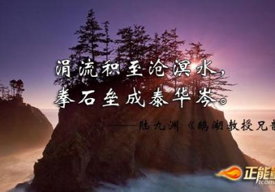 急于求成终酿恶果