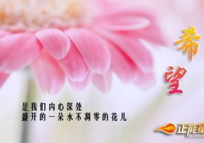 希望让生命之树常青
