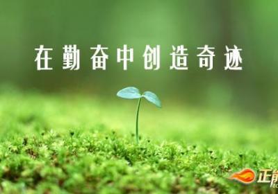 在勤奋中创造奇迹