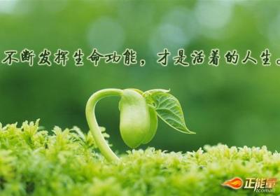 一句话经典语录精选（2）——人生
