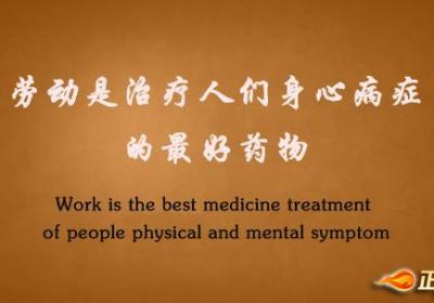 生活就是劳动，劳动就是生活