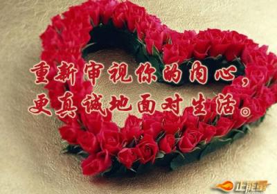 重新审视你的内心，更真诚地面对生活