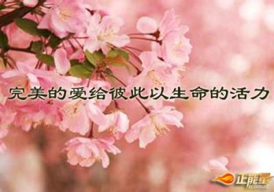 完美的爱给彼此以生命的活力