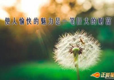 使人愉快的魅力是一笔巨大的财富