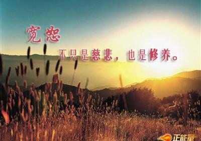 宽恕不只是慈悲，也是修养