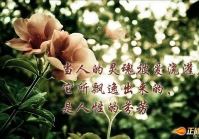 善心如水，助人的行动比祈祷的语言更神圣