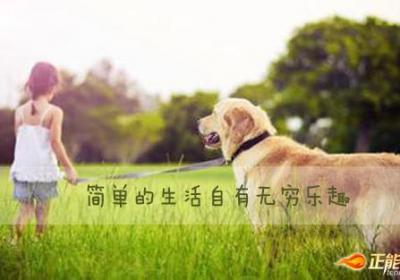 简单的生活自有无穷乐趣