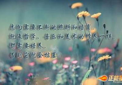 努力学习是一种付出，是启发心智的神奇力量