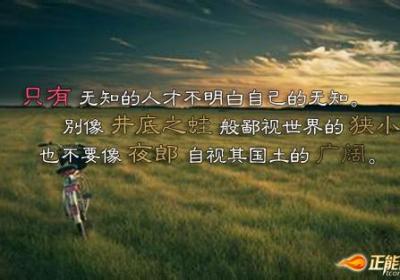 学习是通往成功的必要途径