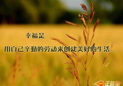 “不劳而获”只是一个诱惑人的陷阱