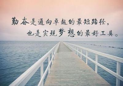 勤勉耕耘终结出丰硕的果实