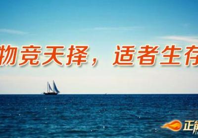 开拓创新让自己脱颖而出