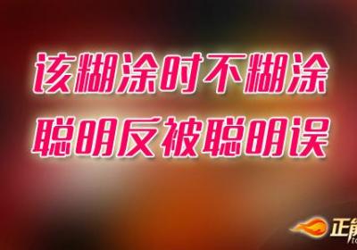 该糊涂时不糊涂，聪明反被聪明误