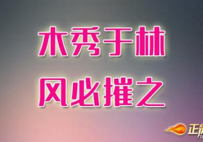 毛遂自荐的前提是工作能力